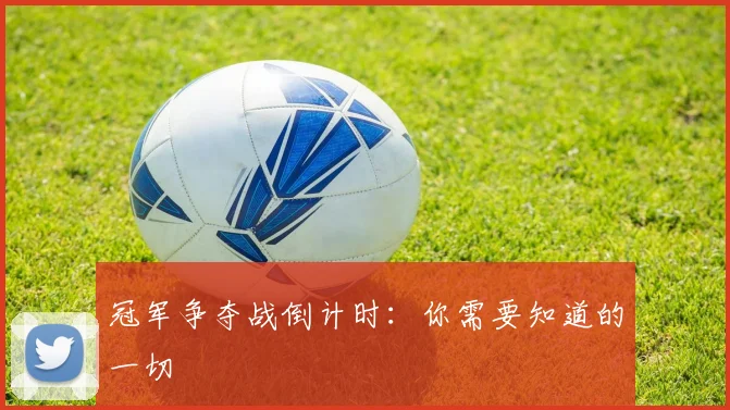 冠军争夺战倒计时：你需要知道的一切
