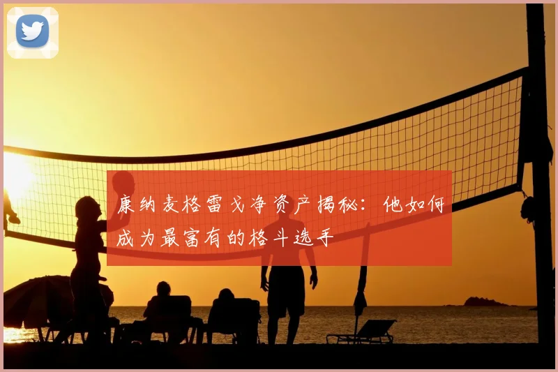 康纳麦格雷戈净资产揭秘：他如何成为最富有的格斗选手