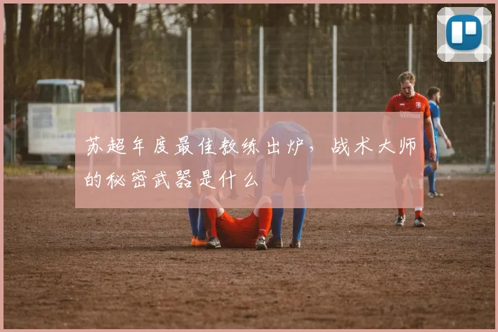 苏超年度最佳教练出炉,战术大师的秘密武器是什么