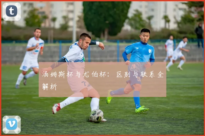 汤姆斯杯与尤伯杯:区别与联系全解析