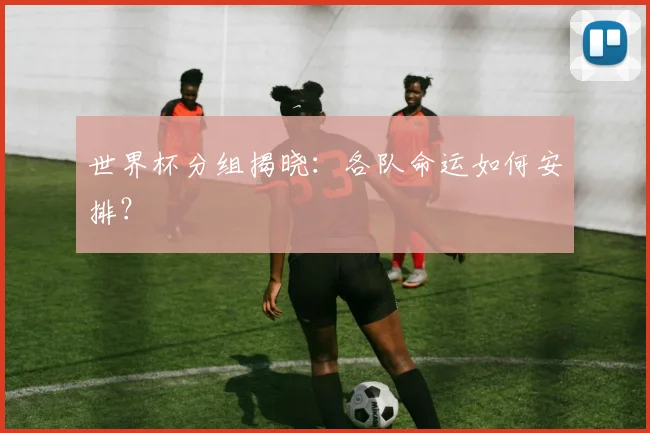 世界杯分组揭晓：各队命运如何安排？