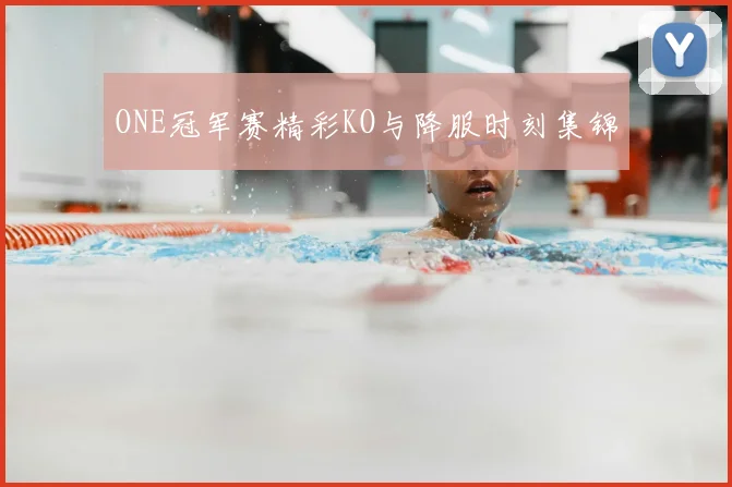ONE冠军赛精彩KO与降服时刻集锦