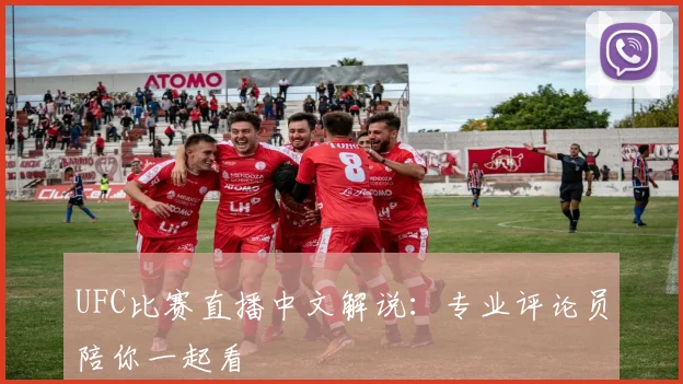 UFC比赛直播中文解说：专业评论员陪你一起看