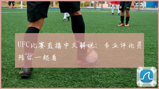 UFC比赛直播中文解说:专业评论员陪你一起看