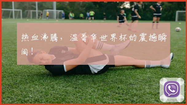 热血沸腾,温哥华世界杯的震撼瞬间!