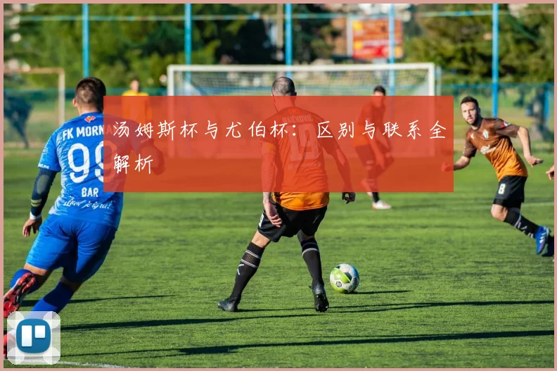 汤姆斯杯与尤伯杯：区别与联系全解析